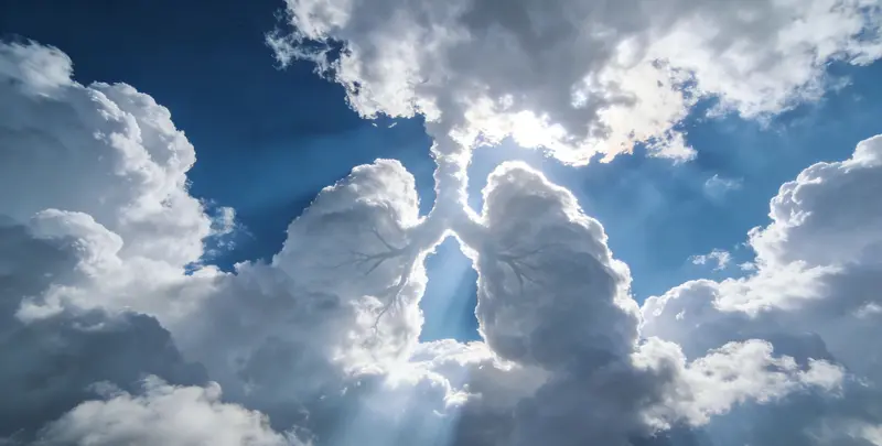 保山肺癌靶向39基因检测及PDL122C3表达检测套餐（组织）图片1