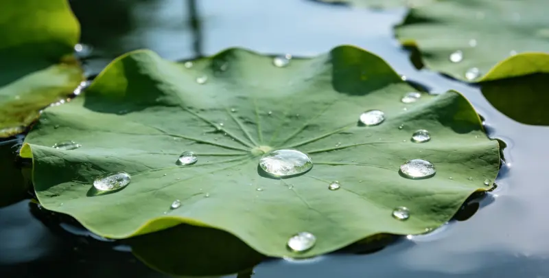 保山乳腺癌21基因mRNA表达分析图片1