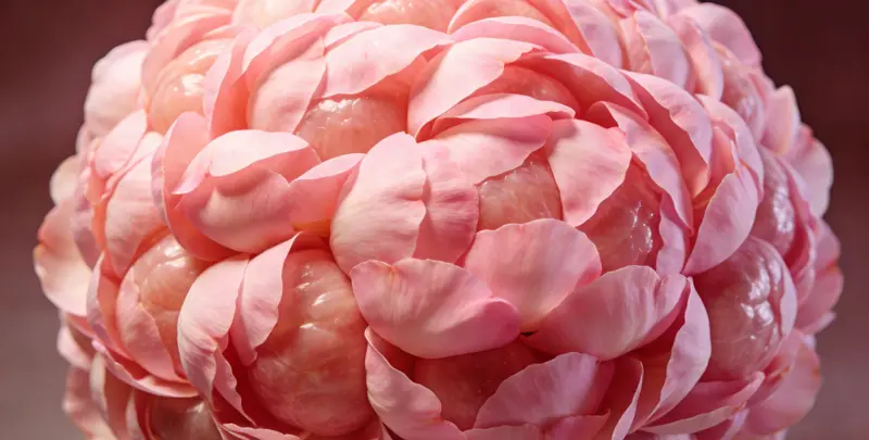 保山BRCA1/2乳腺癌卵巢癌基因检测图片1